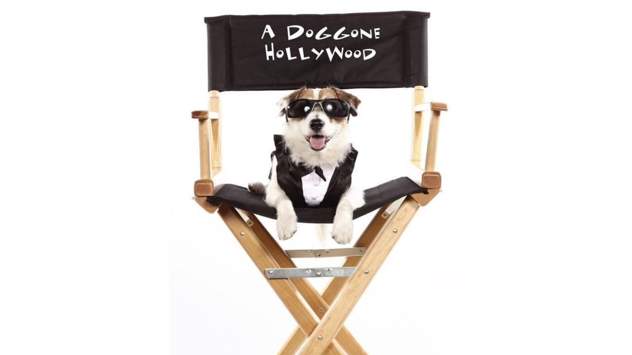 สปอยสนุก A Doggone Hollywood ห้ามพลาดเด็ดขาด